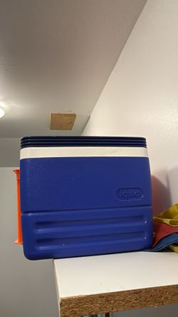 igloo small cooler