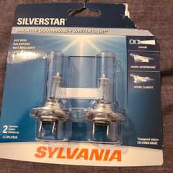 Head Light Bulbs