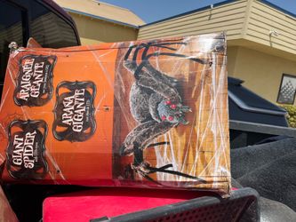 Big  Black Spider  for  Hollowing