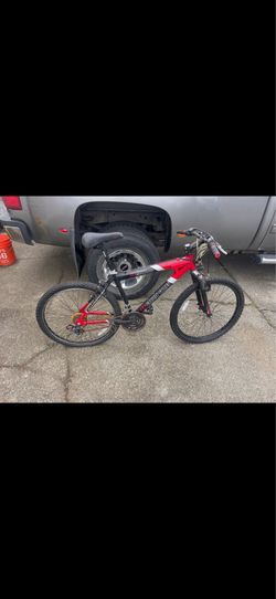 Adult men’s bike