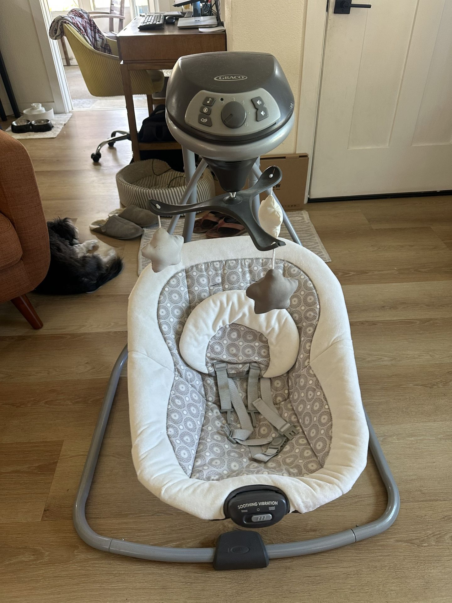 Graco Baby Swing