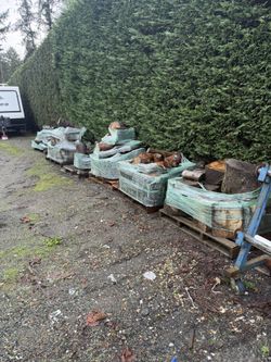 Variety Specie Firewood. Well Over A Cord