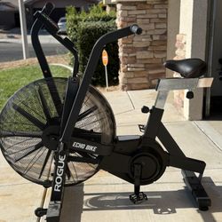 Rogue Echo Bike – Like New | Excellent Condition