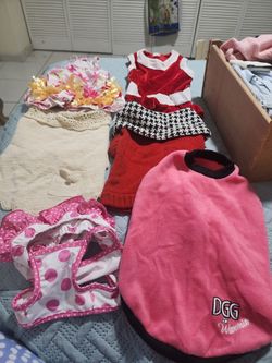Dog Clothes. Used But In Good Condition