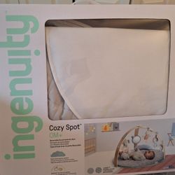 Ingenuity Cozy Spot Activity Gym