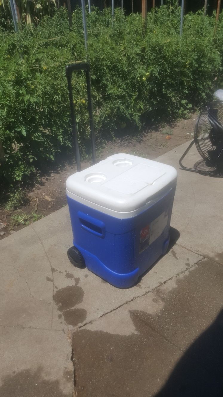Igloo 90 cans capacity cooler
