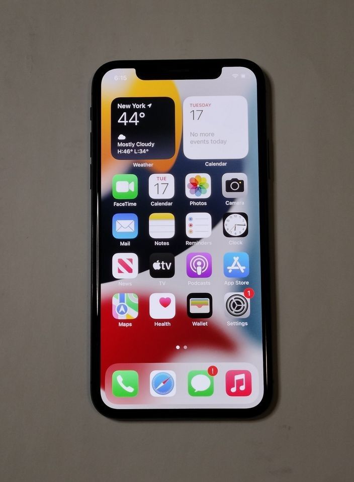 Apple iPhone X Unlocked