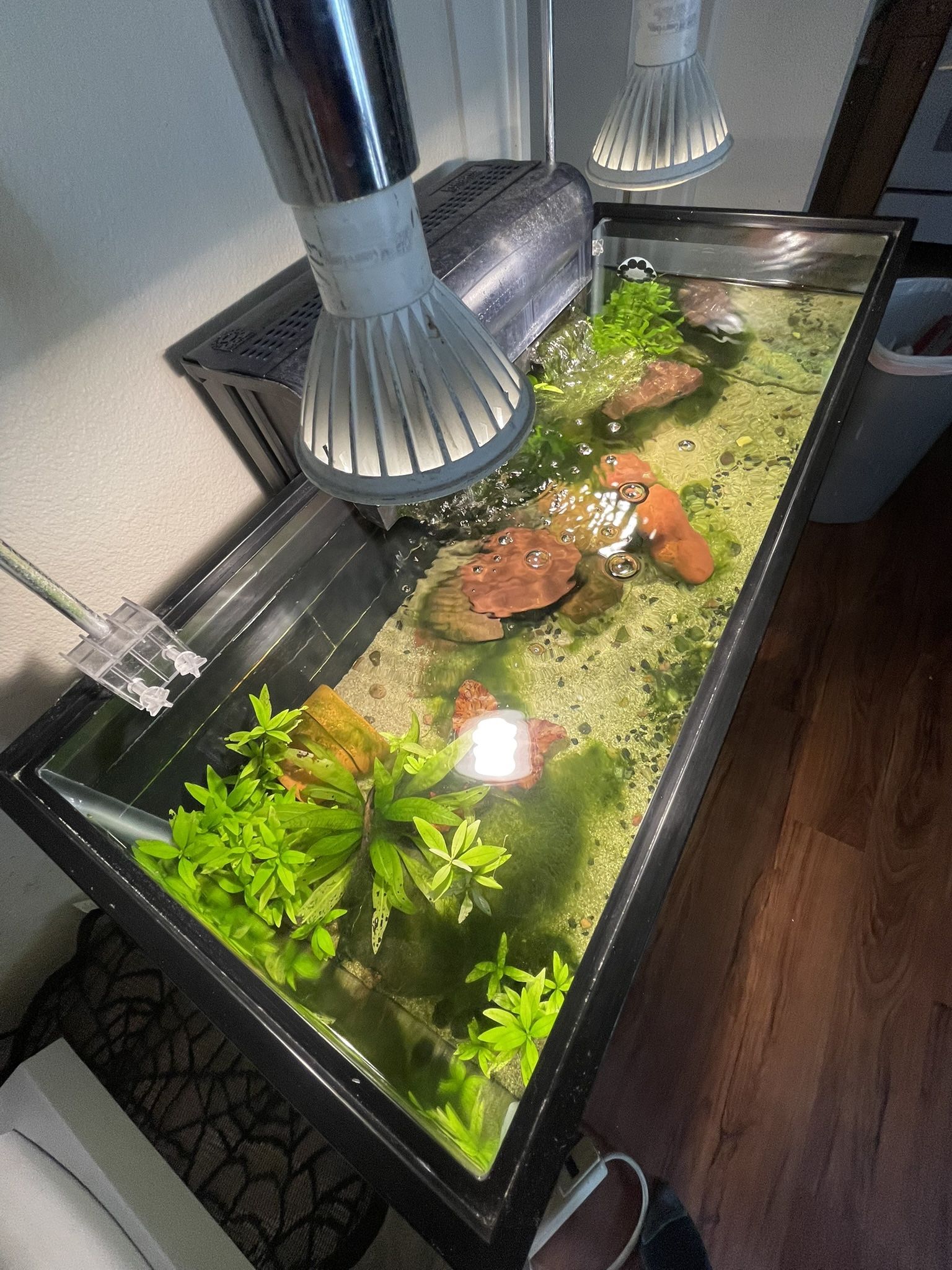 20 Gallon Long Fish Tank Aquarium 