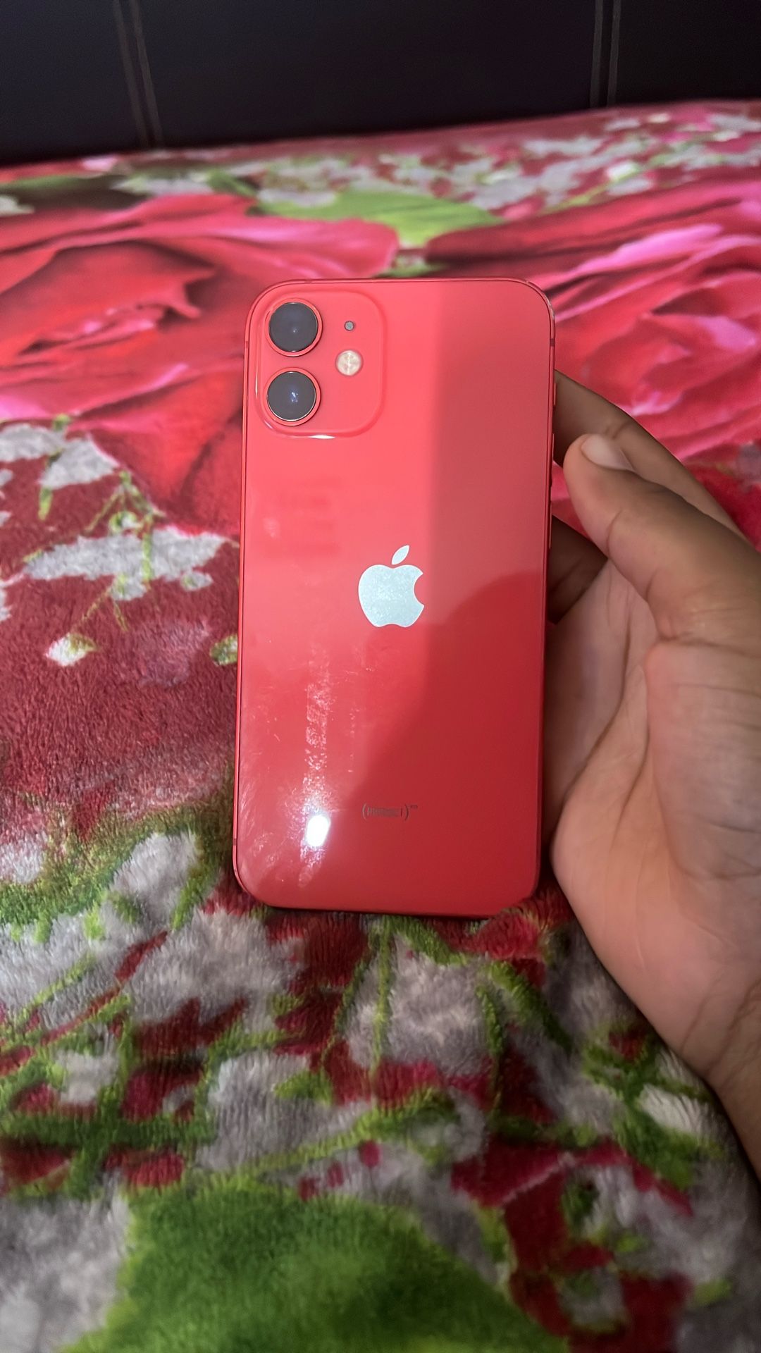 iPhone 12 Mini