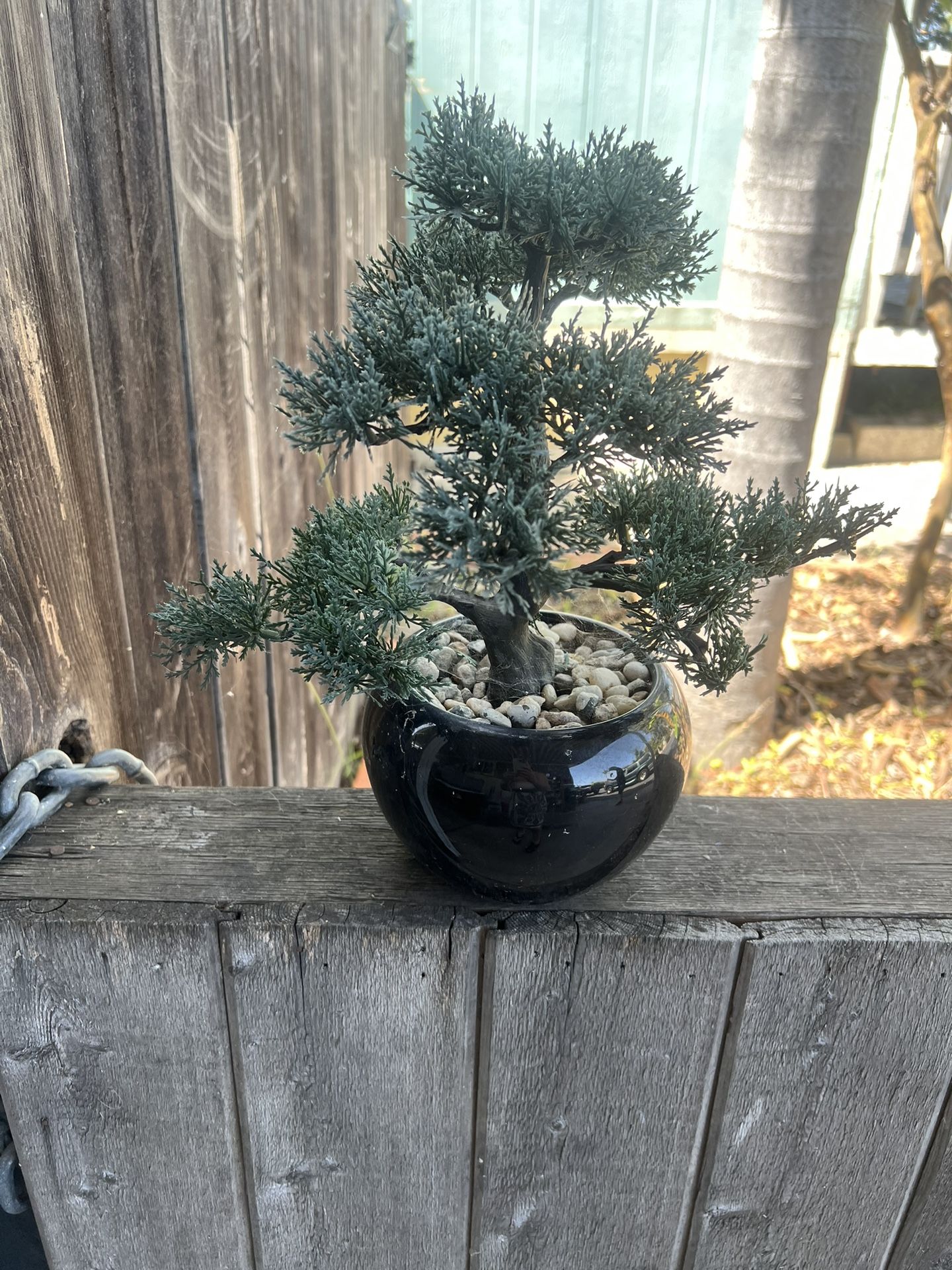 Artificial bonsai tree in black ceramic pot