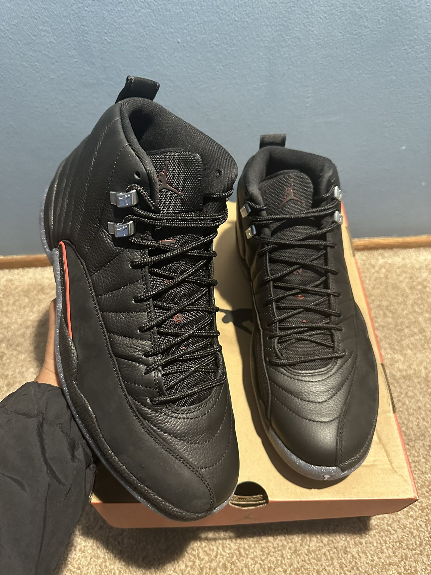 jordan 12 utility DS