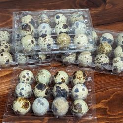 GOING OUT OF BUSINESS SALE!!!   Soy Free-Free Range Quail Eggs (cooking Eggs)