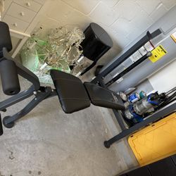 Weight Bench