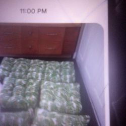 Green  Leaves White Background With Beige Stripes. Tropical Outdoor Patio Set