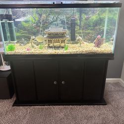 75 Gallon Fish Tank With Stand