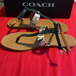 Coach sandals