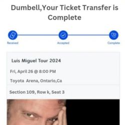 Luis Miguel Ticket