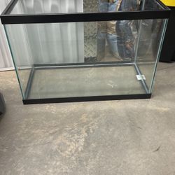 Fish Tank