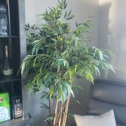 Bamboo Tree Fake- LOOKS GREAT 