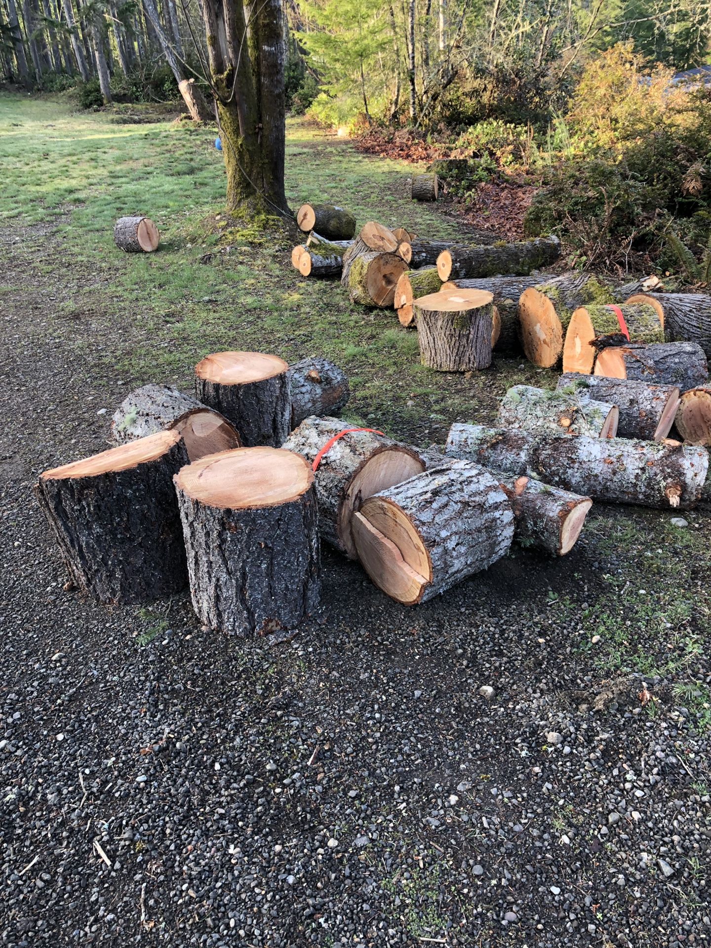 Free firewood 20 cords for Sale in Port Orchard, WA OfferUp