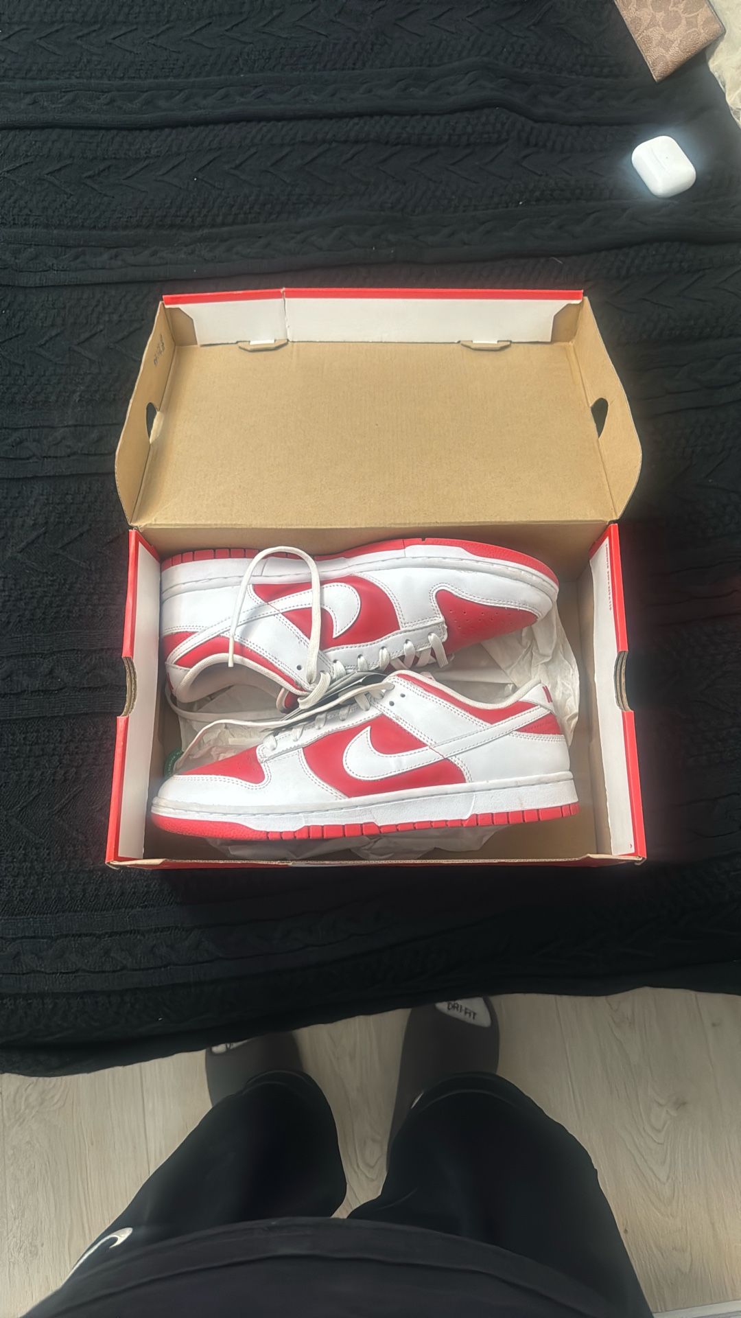 2021 Nike Dunk Low(10.5 Men)
