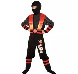 Fire Dragon Ninja Costume