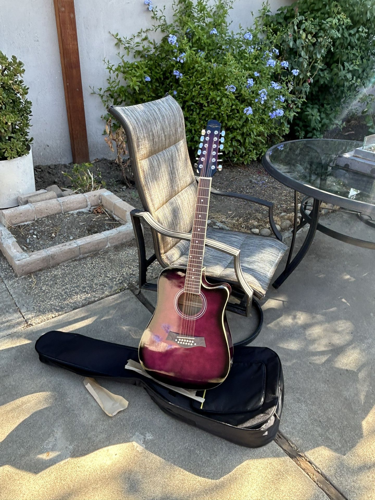 Electric Acoustic Guitar 🎸 12 String 