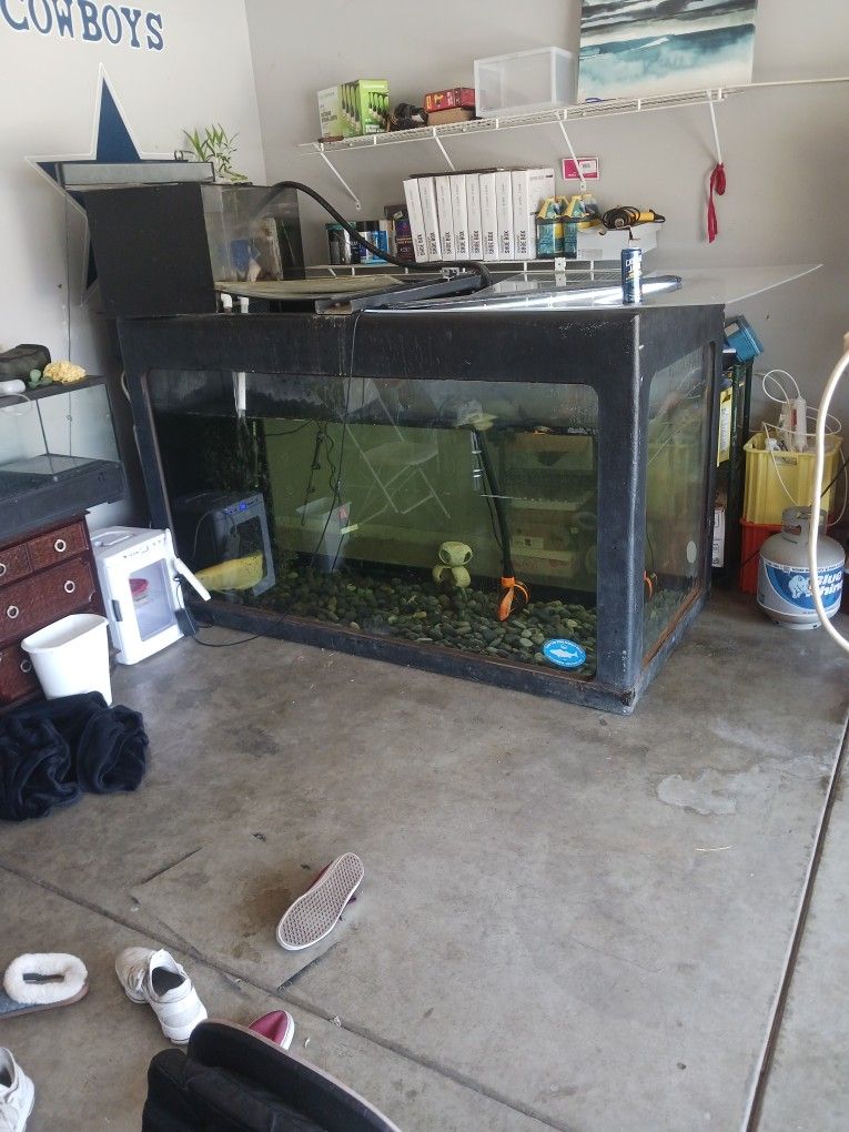 800 Gallon Aquarium Fiberglass Built,