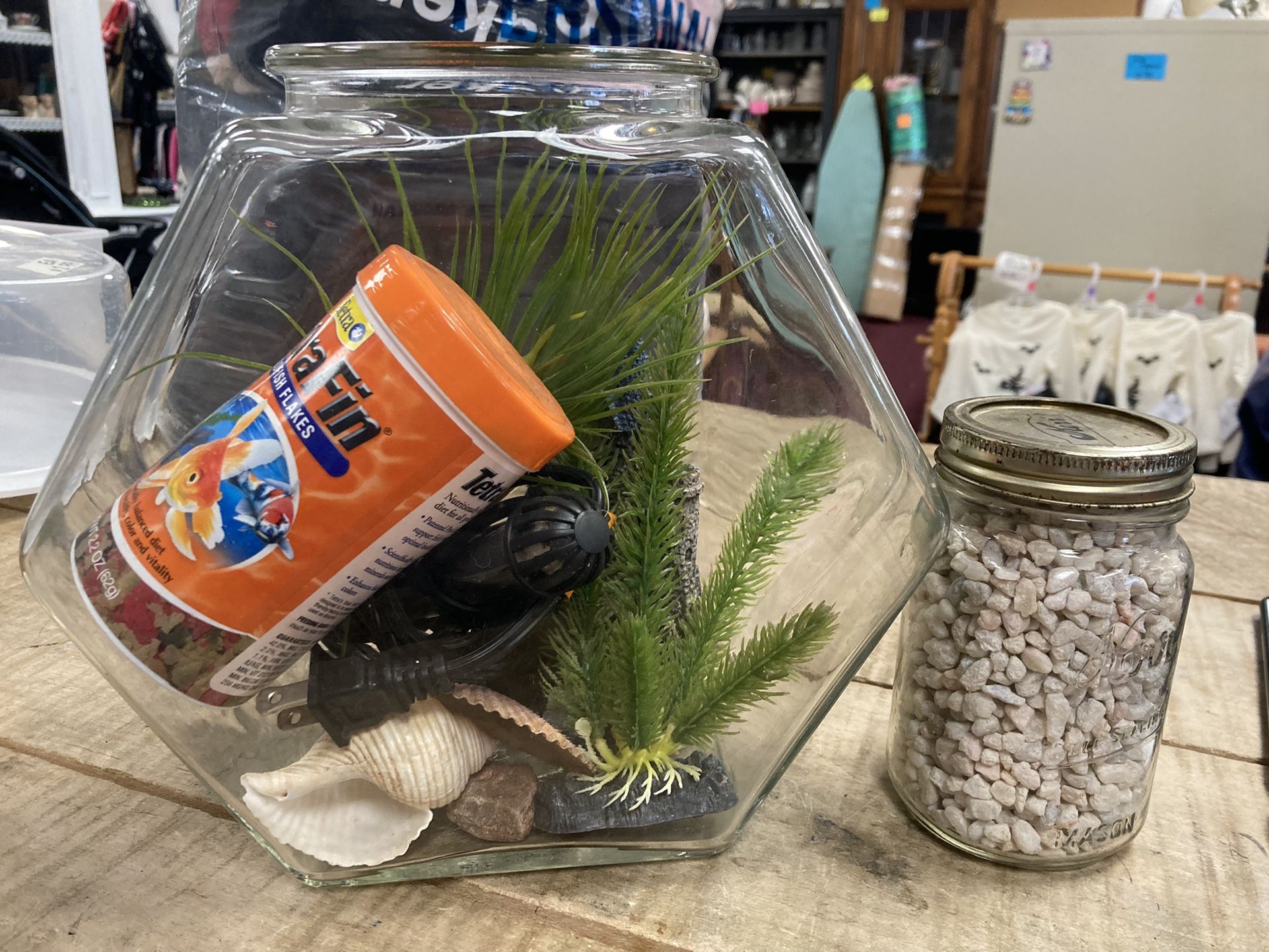 Fish Bowl