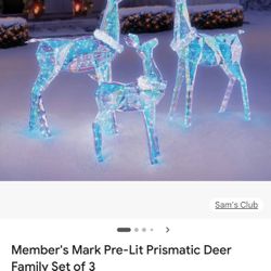Christmas Deer Outdoor Decoration