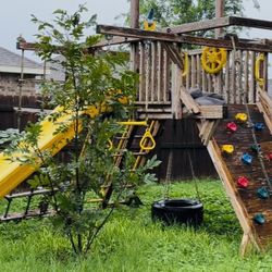 Rainbow Swing & Playset