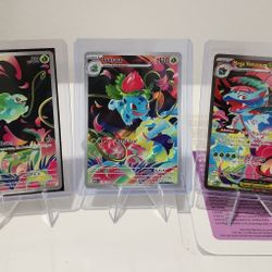 Pokemon Set Bulbasaur Venusaur Mega Evolution 