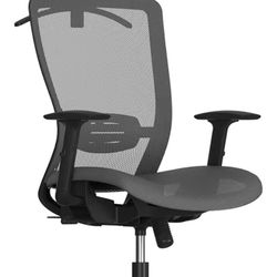 Ergonomic Office Chair