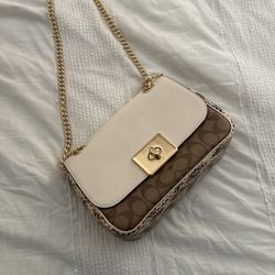 Bag Coach 