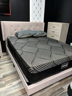 FREE DELIVER SAME DAY 