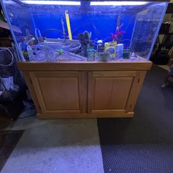 Complete 75 gallon aquarium and accessories