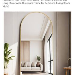 TinyTimes 65” x 22” full body mirror Pickup only