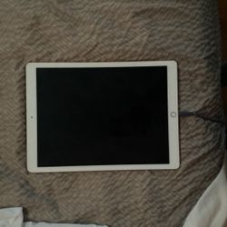 iPad Pro (12.9-inch)