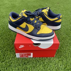 Nike Michigan Dunks