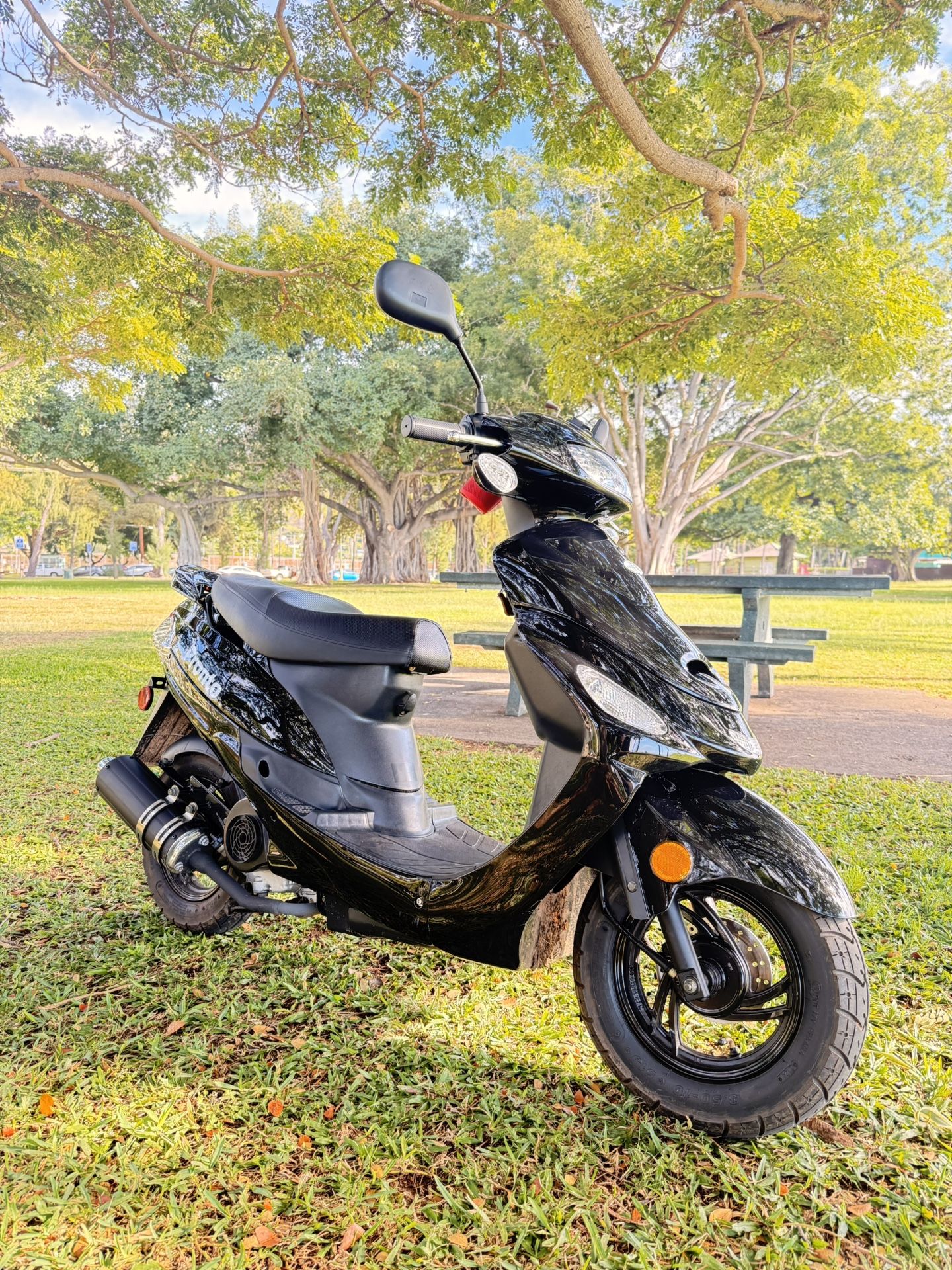2024 Pronto Moped