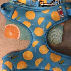 Dog Harness with Leash  &. one with Bags Pouch 