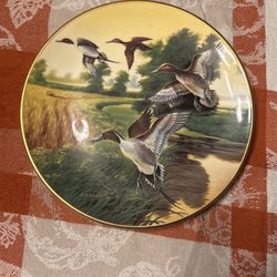 Collector Duck Plate - Ducks Unlimited 