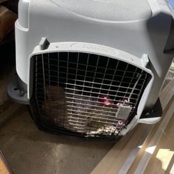 Dog Crate