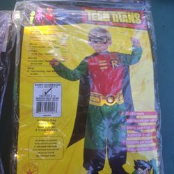 Robin Halloween Costume 