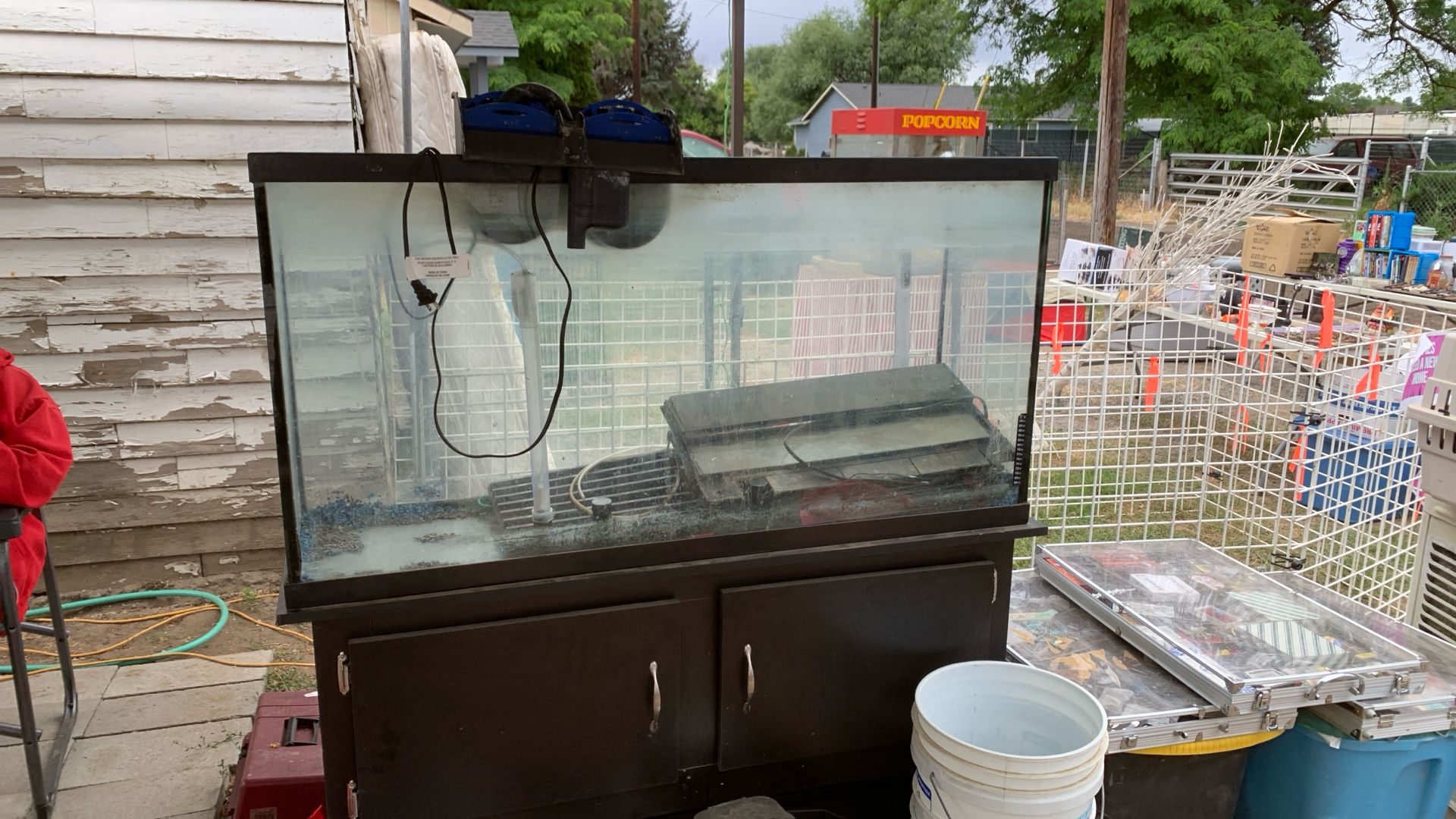 55” Tall Fish Tank