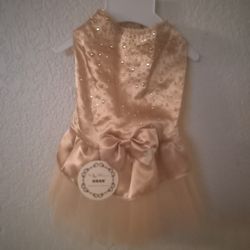 Gold Satin Dog Dress With Decorative Beads XS