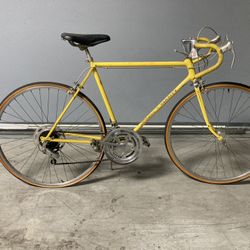 Schwinn Bicycle