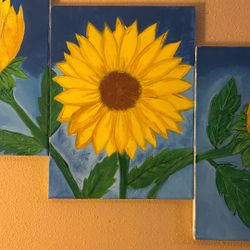 Canvas Panel  Hand Painted 