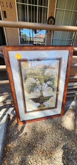 Framed Palm Tree Botanical Print