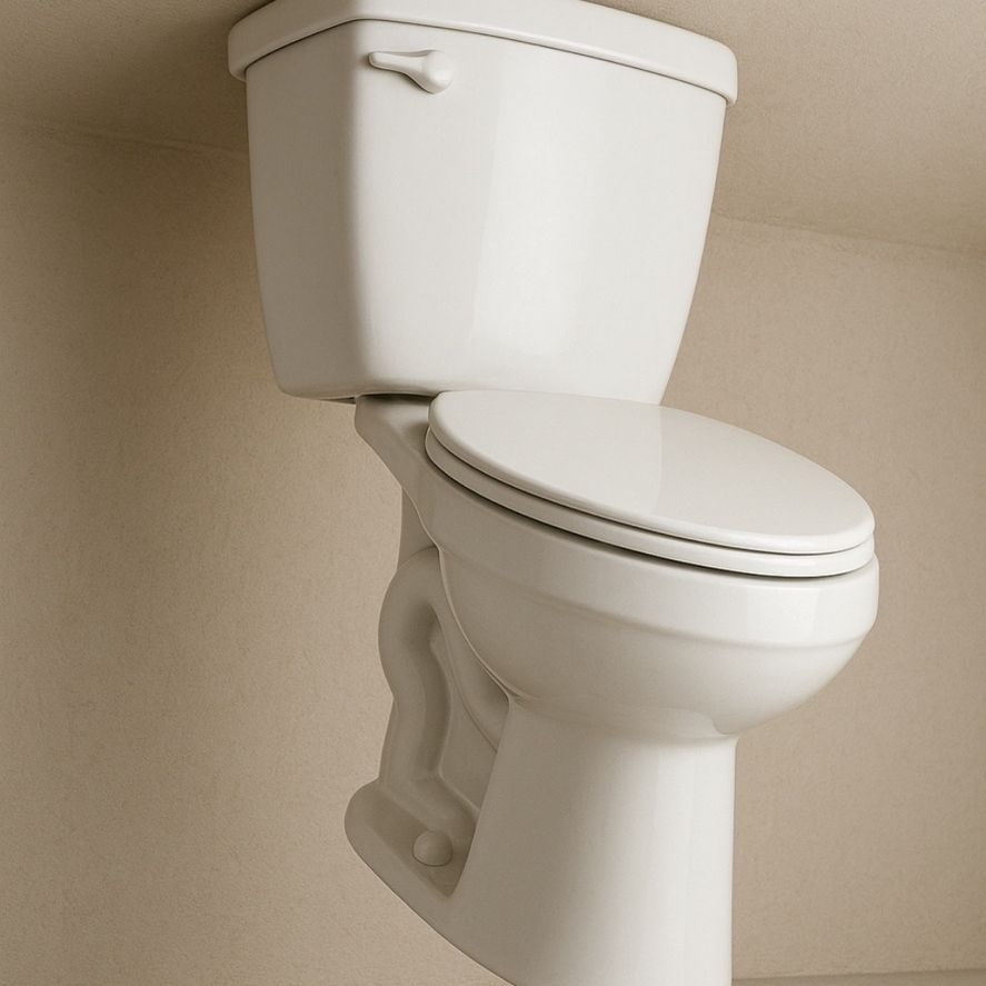 Reset Commode Toilet Reset Or Install for Sale in Orange, CA - OfferUp